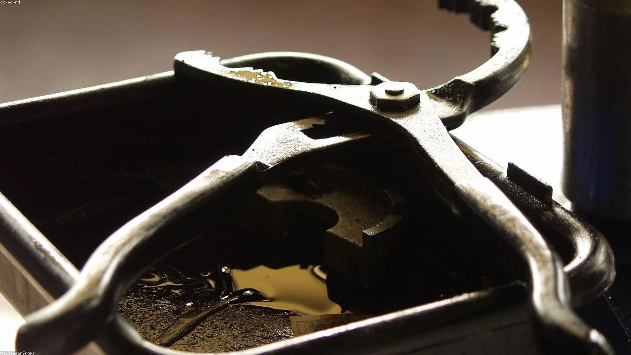 The Ultimate Guide to V12 Engine Swaps: A Masterclass in Engineering and Precision